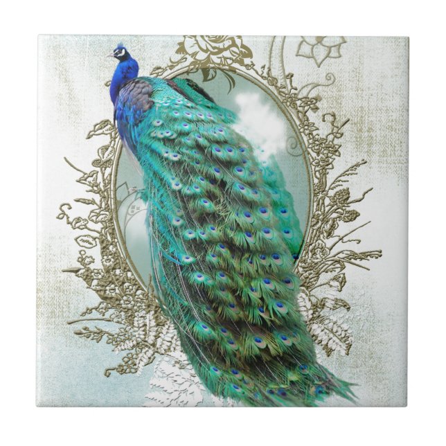 peacock beautiful turquoise vintage shabby bird tile (Front)