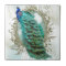 peacock beautiful turquoise vintage shabby bird