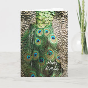 Peacock Beauty - Birthday Greeting Card