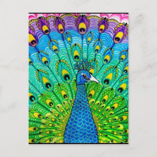 Peacock bird animation postcard