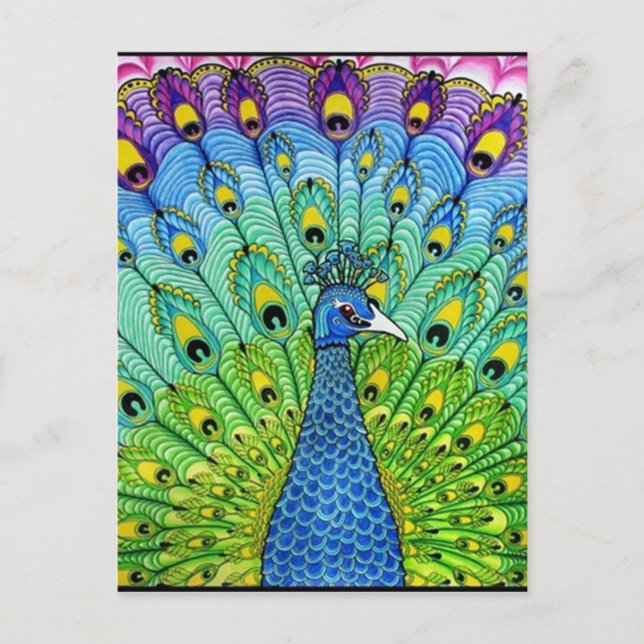 Peacock bird animation postcard (Front)