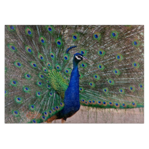 Peacock bird display cutting board