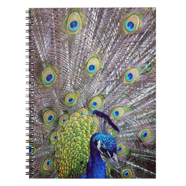 Peacock bird feathers notebook (Front)