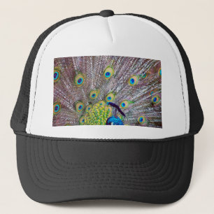 Peacock bird feathers trucker hat