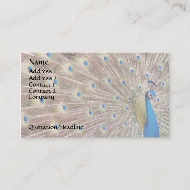 Peacock Bird Feathers Wildlife Animals Business Card (Front)
