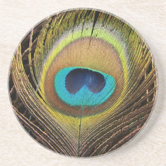 Peacock Bird Feathers Wildlife Animals Coaster (Front)