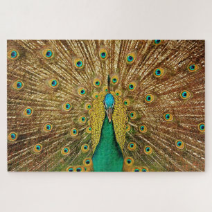 Peacock bird photo jigsaw puzzle