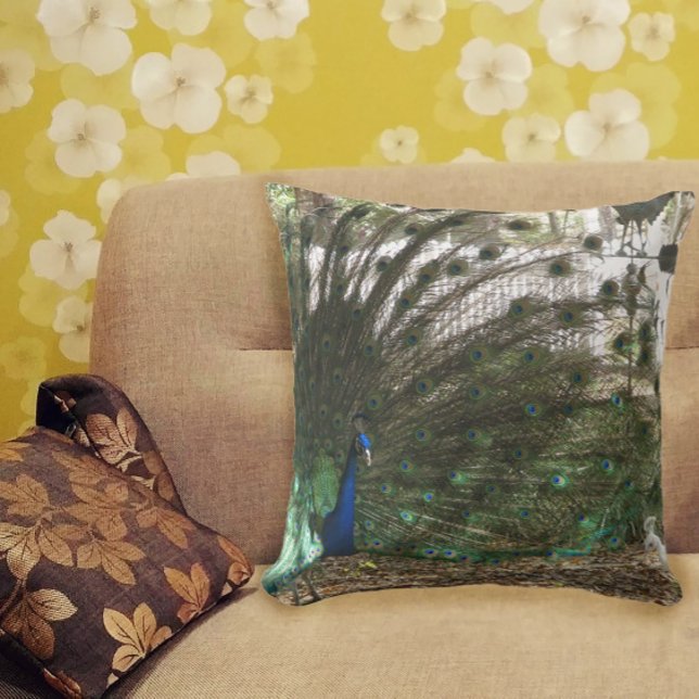 Peacock Bird Plumage and Albino Peahen Photograph Cushion (A throw pillow with a photograph of a peacock bird and an albino peahen.)