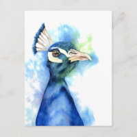 Peacock Bird Watercolor Art
