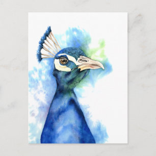 Peacock Bird Watercolor Art Postcard