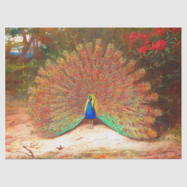 Peacock Bird Wildlife Butterfly Tissue Paper (Front)