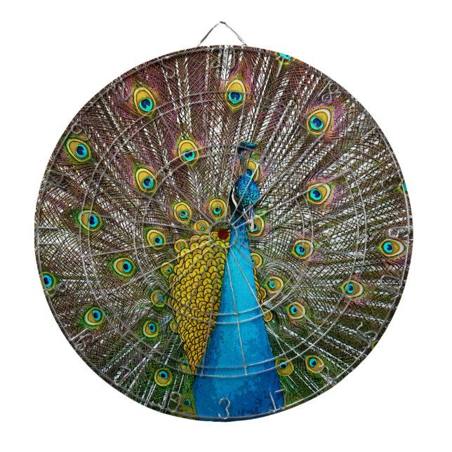 Peacock Bird with Royal Plumage on Display Dartboard (Front)