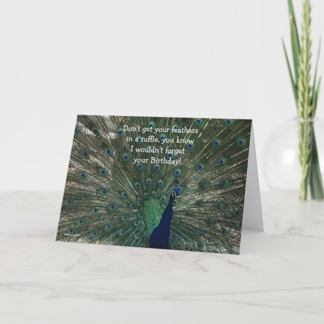 Peacock Birthday Card (Front)