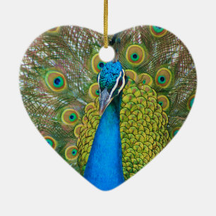 Peacock Blue Head with and Colourful Tail Feathers Ceramic Ornament