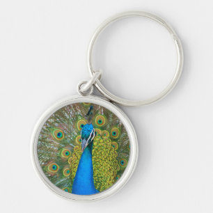 Peacock Blue Head with and Colourful Tail Feathers Key Ring