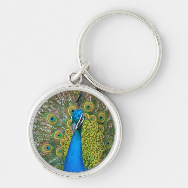 Peacock Blue Head with and Colourful Tail Feathers Key Ring (Front)