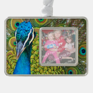 Peacock Blue Head with and Colourful Tail Feathers Silver Plated Framed Ornament