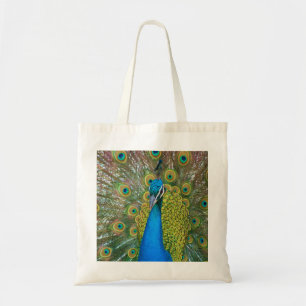 Peacock Blue Head with and Colourful Tail Feathers Tote Bag