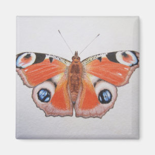 Peacock Butterfly 2012 Magnet