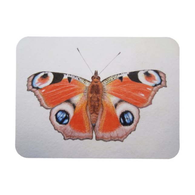 Peacock Butterfly 2012 Magnet (Horizontal)
