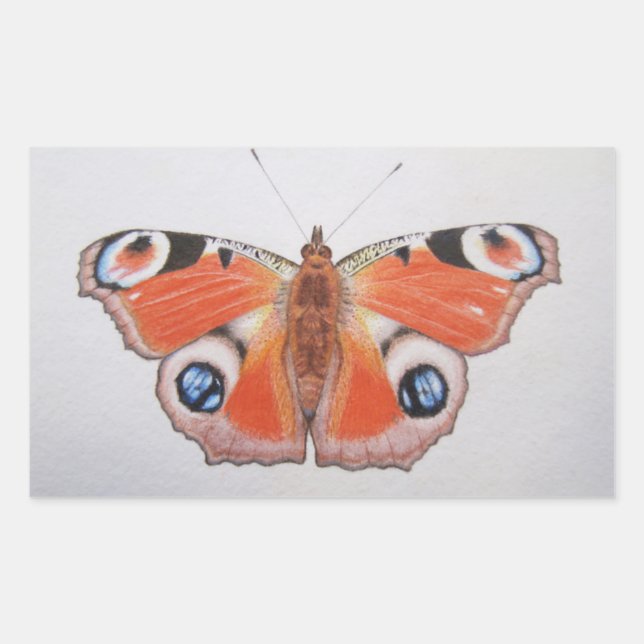 Peacock Butterfly 2012 Rectangular Sticker (Front)