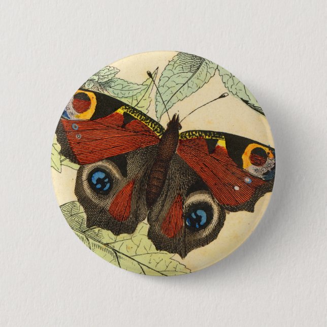 Peacock Butterfly 6 Cm Round Badge (Front)