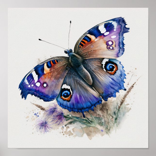 Peacock Butterfly Art Print Poster (Front)