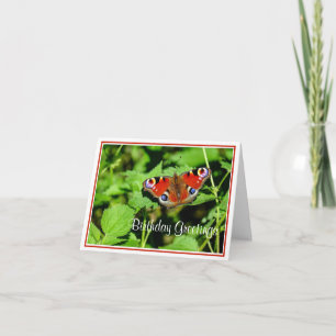 Peacock Butterfly Birthday Greeting Card