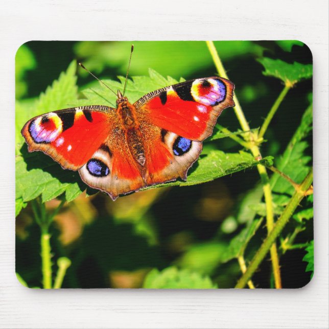 Peacock butterfly, butterfly, leaves mouse pad (Front)