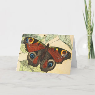 Peacock Butterfly Card