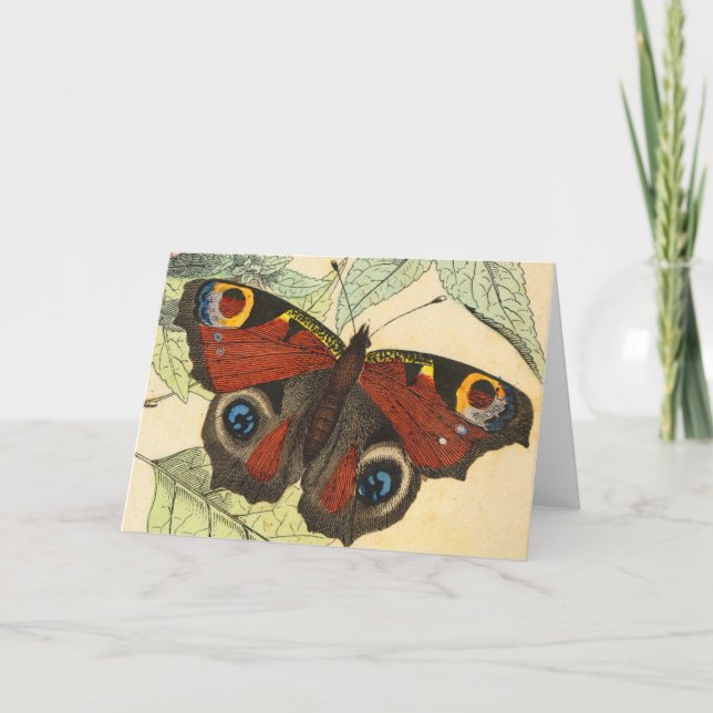 Peacock Butterfly Card (Front)