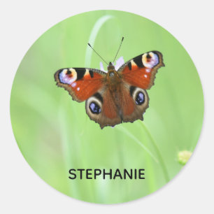 Peacock Butterfly Classic Round Sticker