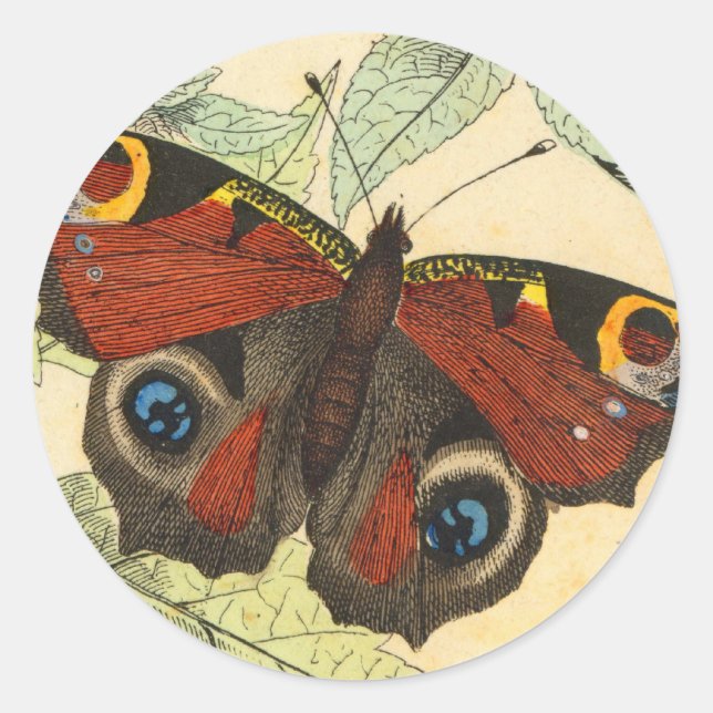 Peacock Butterfly Classic Round Sticker (Front)