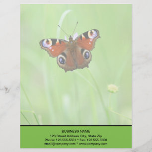 Peacock Butterfly Custom Letterhead