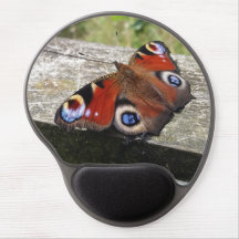 Peacock Butterfly