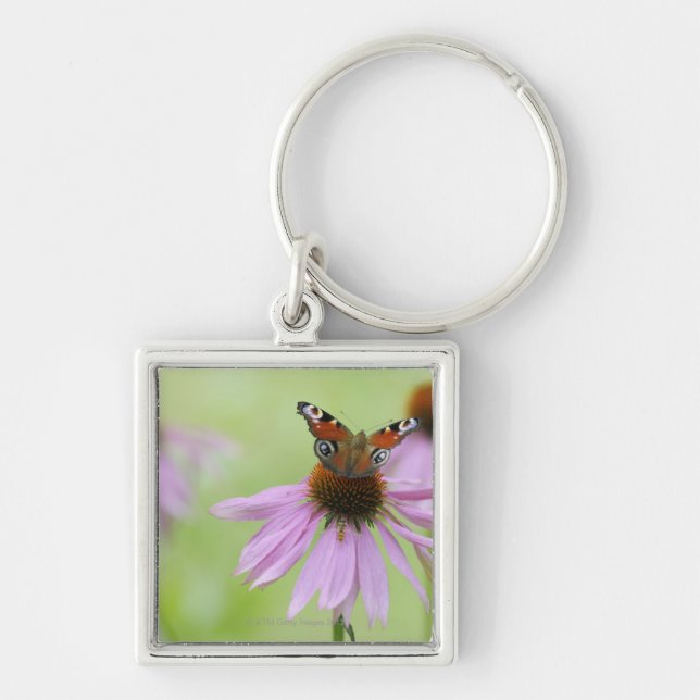 Peacock butterfly (Inachis io) drinking nectar Key Ring (Front)
