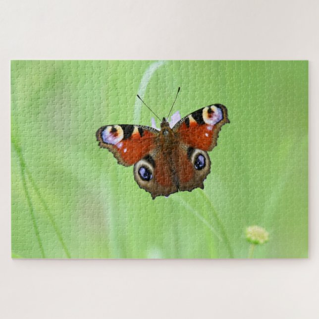Peacock Butterfly Jigsaw Puzzle (Horizontal)