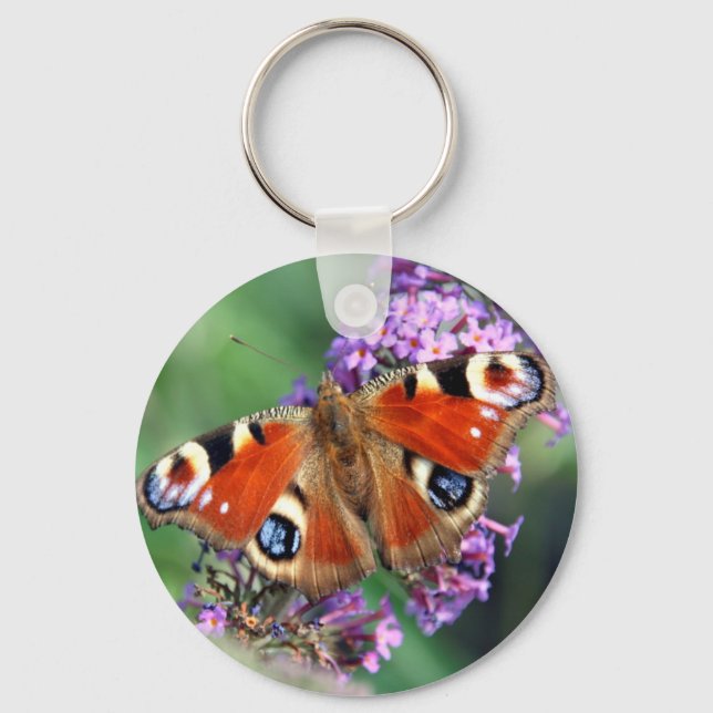 Peacock Butterfly Key Ring (Front)