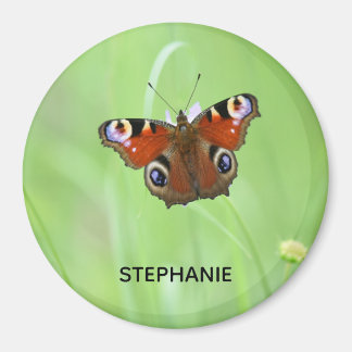 Peacock Butterfly Magnet