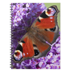 Peacock Butterfly Notebook