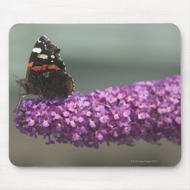 Peacock butterfly on flower mouse pad (Front)