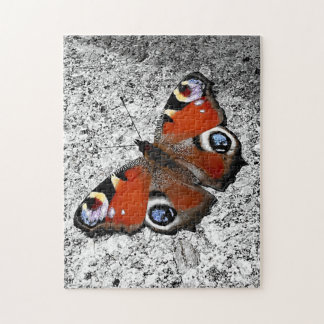 Peacock butterfly photograph  jigsaw puzzle
