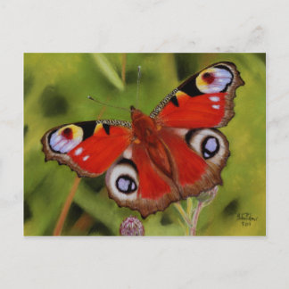 PEACOCK BUTTERFLY POSTCARD