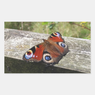 Peacock Butterfly Rectangular Sticker