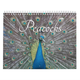 Peacock Calendar