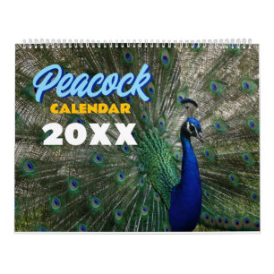 Peacock Calendar 2027 Wall Photo