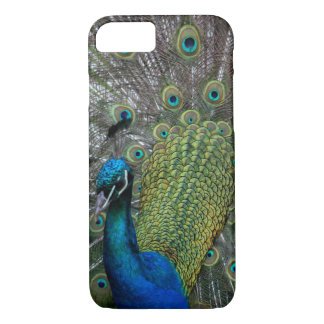 Peacock iPhone 8/7 Case