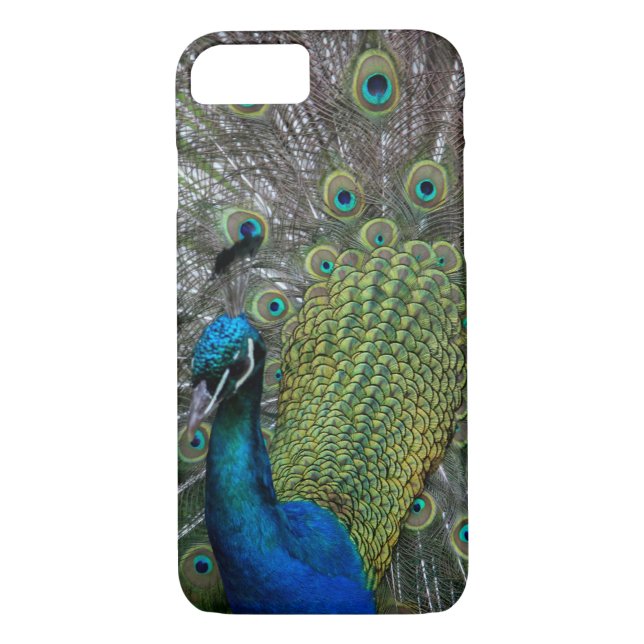 Peacock Case-Mate iPhone Case (Back)