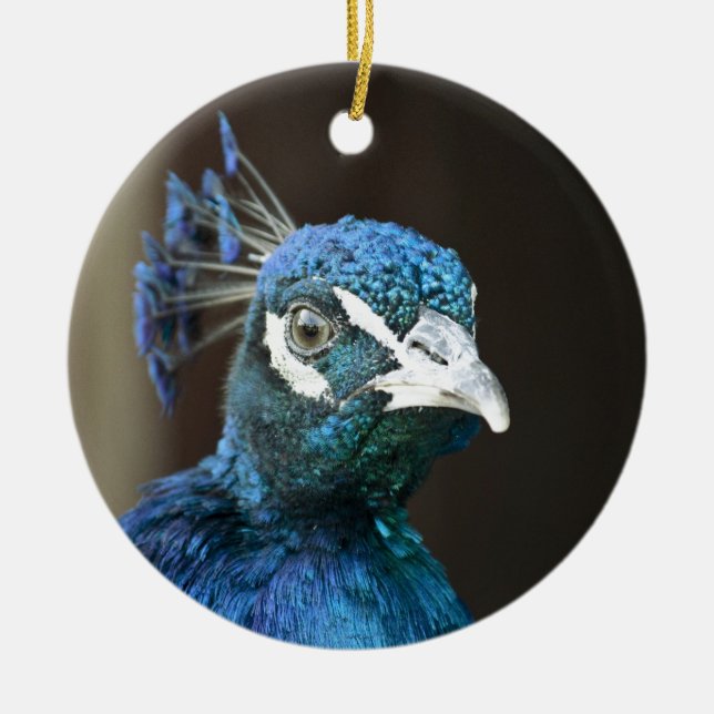 peacock ceramic tree decoration (Front)