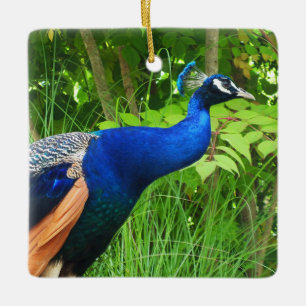 Peacock Ceramic Tree Decoration